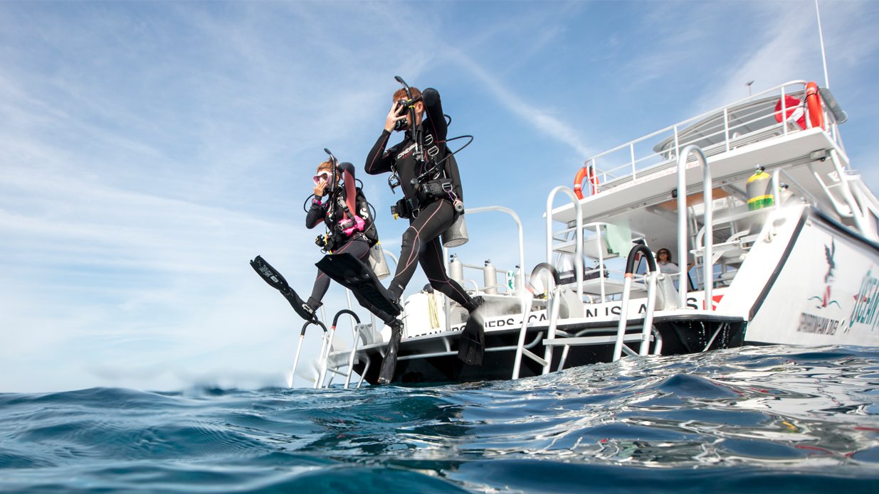 Two scuba divers jumping off a boat into the water, wearing wetsuits and diving gear, with a blue sky and ocean in the background.