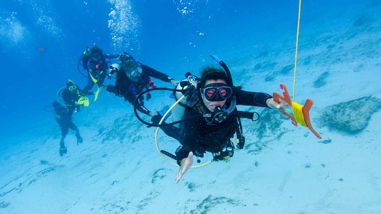 A group of divers underwater, with one diver smiling and holding a floating device while others swim behind them in clear blue water.