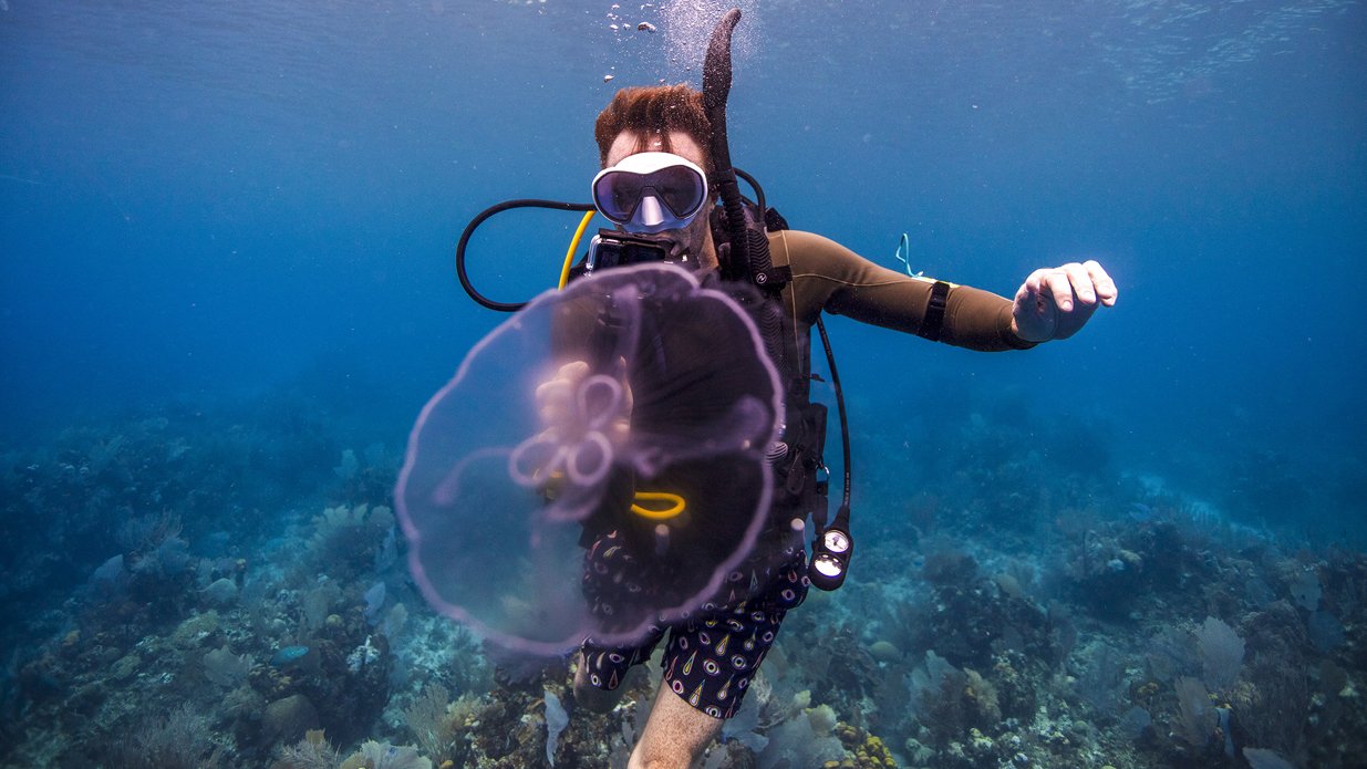 A diver swimming underwater near colorful coral reefs, interacting with a translucent jellyfish in a clear blue ocean.