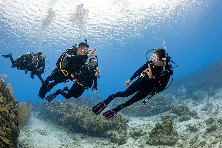 A group of divers underwater, exploring a coral reef with vibrant marine life and clear blue water.