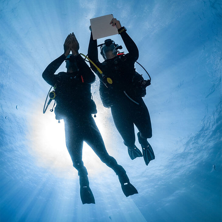 Two scuba divers underwater, one holding a blank sheet of paper, with sun rays shining through the water.