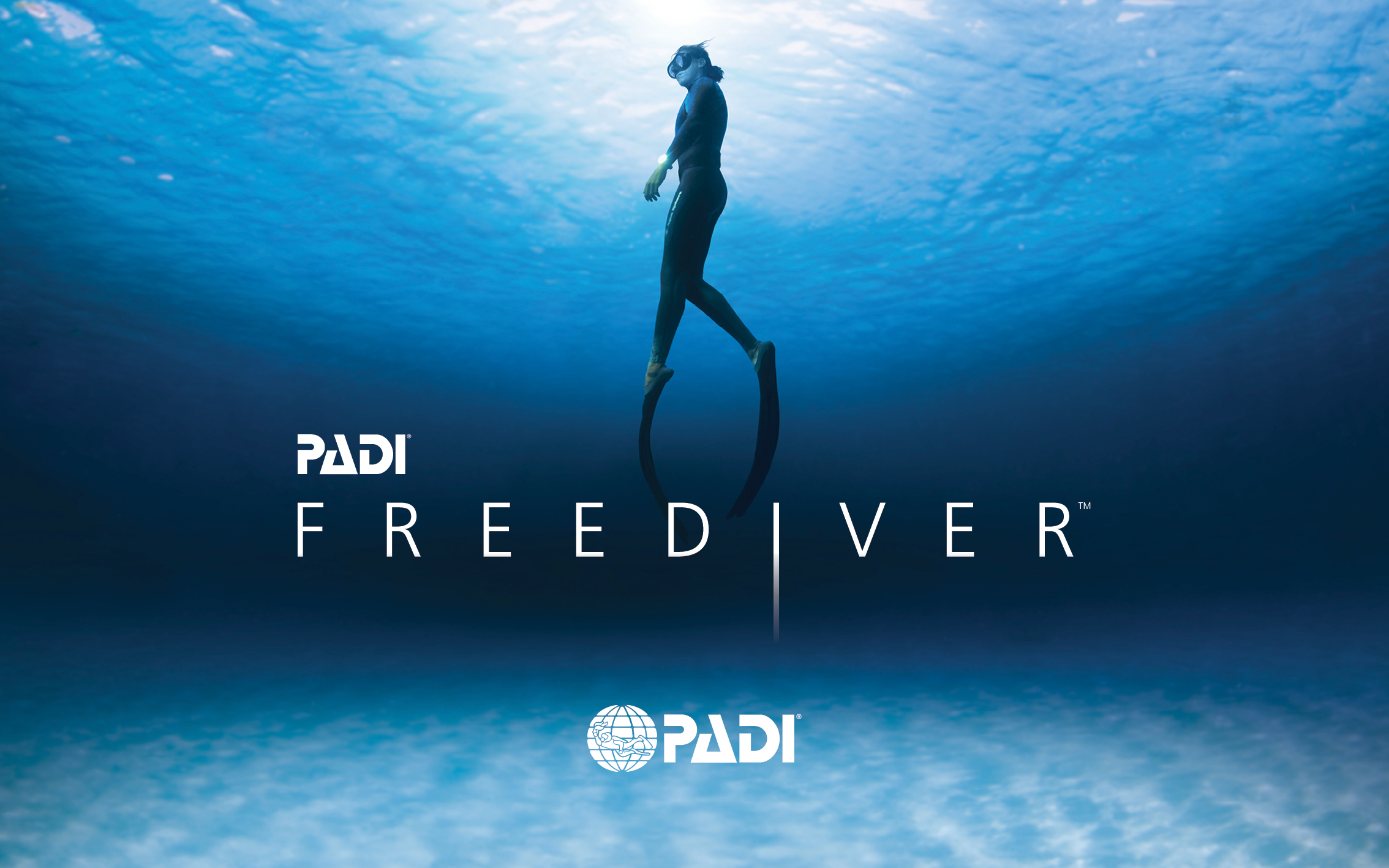 A freediver gliding underwater, wearing a wetsuit and fins, with a serene blue ocean backdrop. The image features the 'PADI FREEDIVER' logo and the PADI emblem.