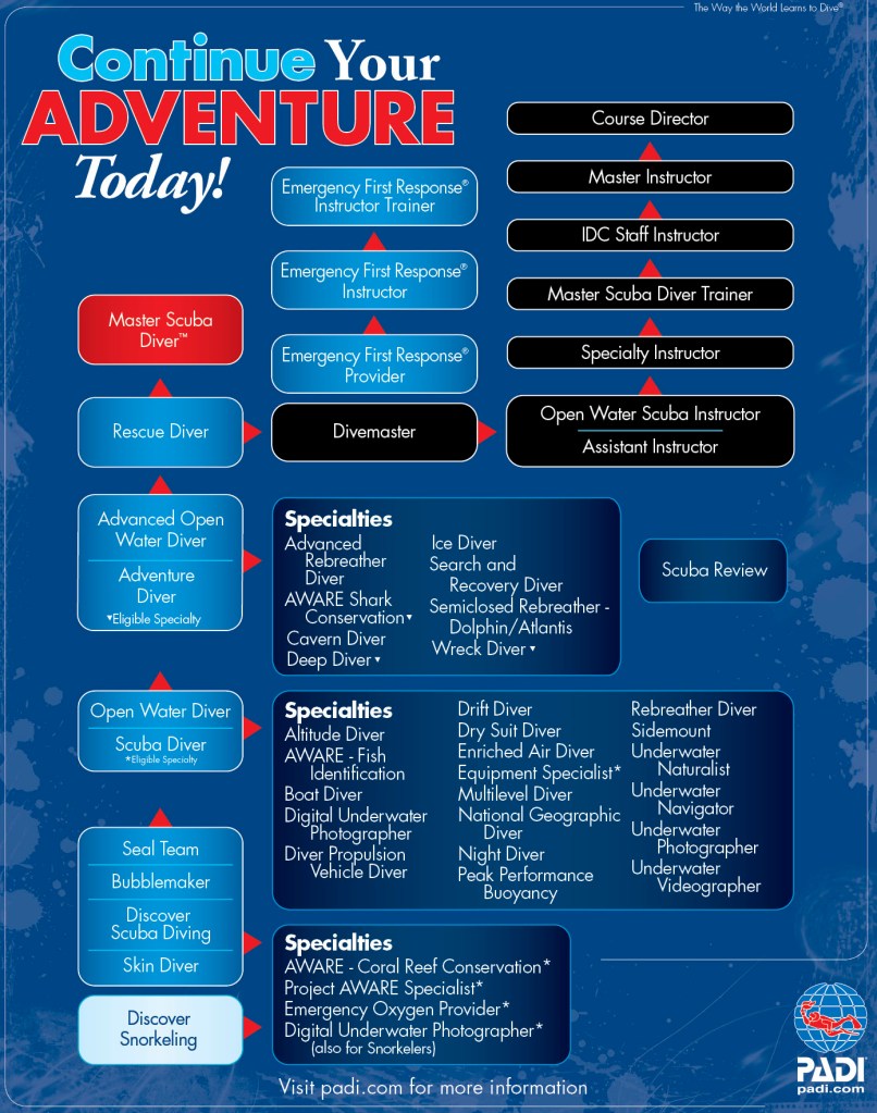 Infographic titled 'Continue Your Adventure Today!' showcasing various PADI scuba diving certifications and specializations, organized in a flowchart format.