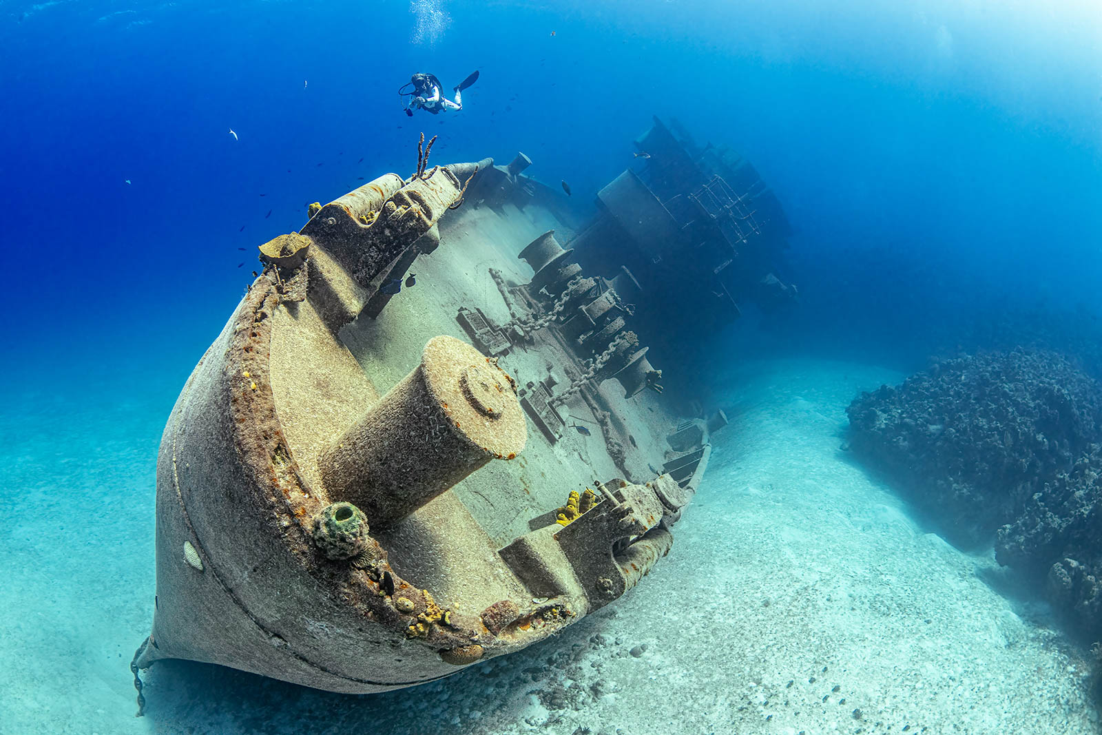 An underwater scene featuring a sunken shipwreck, partially covered with coral and marine life, with a scuba diver exploring nearby.