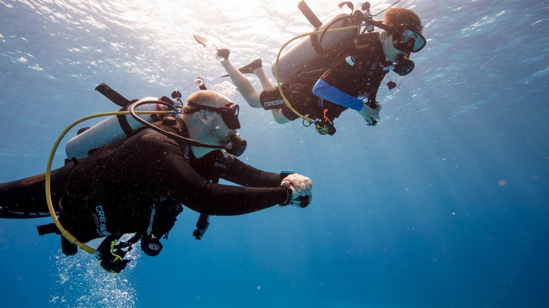 Two divers exploring underwater, using scuba gear and cameras, surrounded by clear blue water.